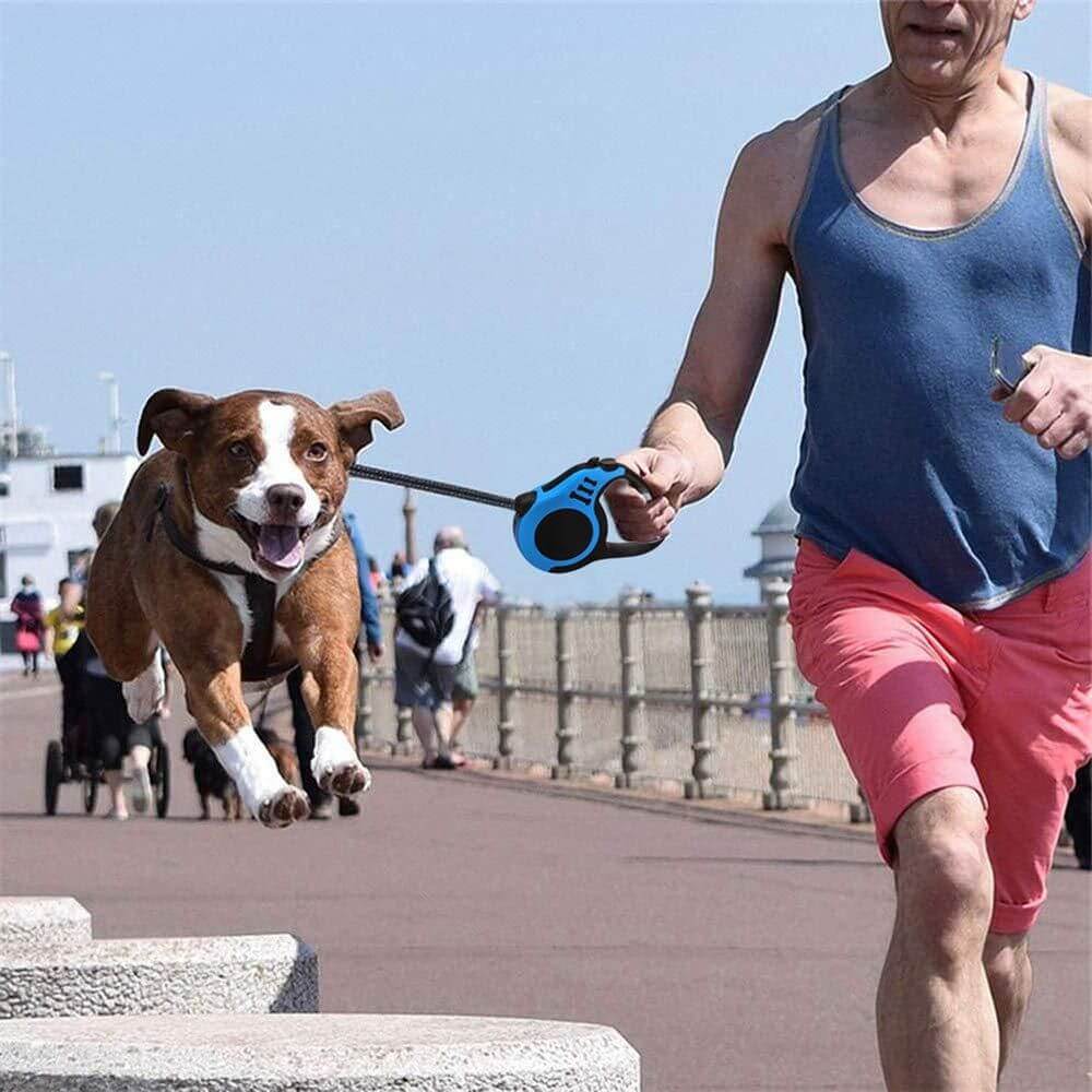 500 cm Dog & Cat Strap Leash (Multicolor)- Brand Kiosk Store