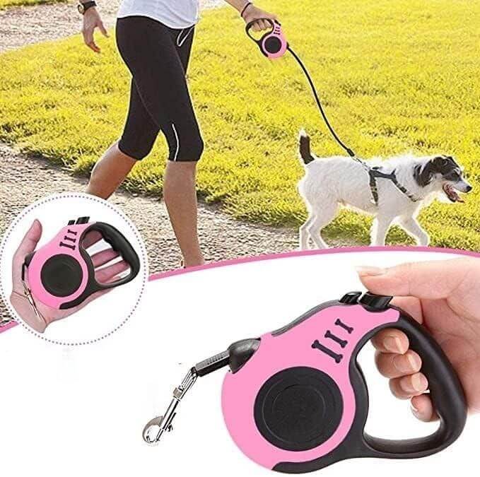 500 cm Dog & Cat Strap Leash (Multicolor)- Brand Kiosk Store