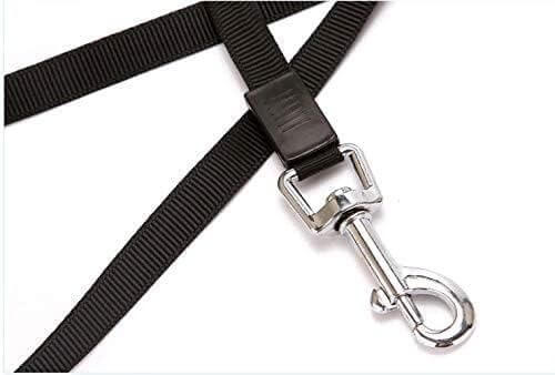 500 cm Dog & Cat Strap Leash (Multicolor)- Brand Kiosk Store